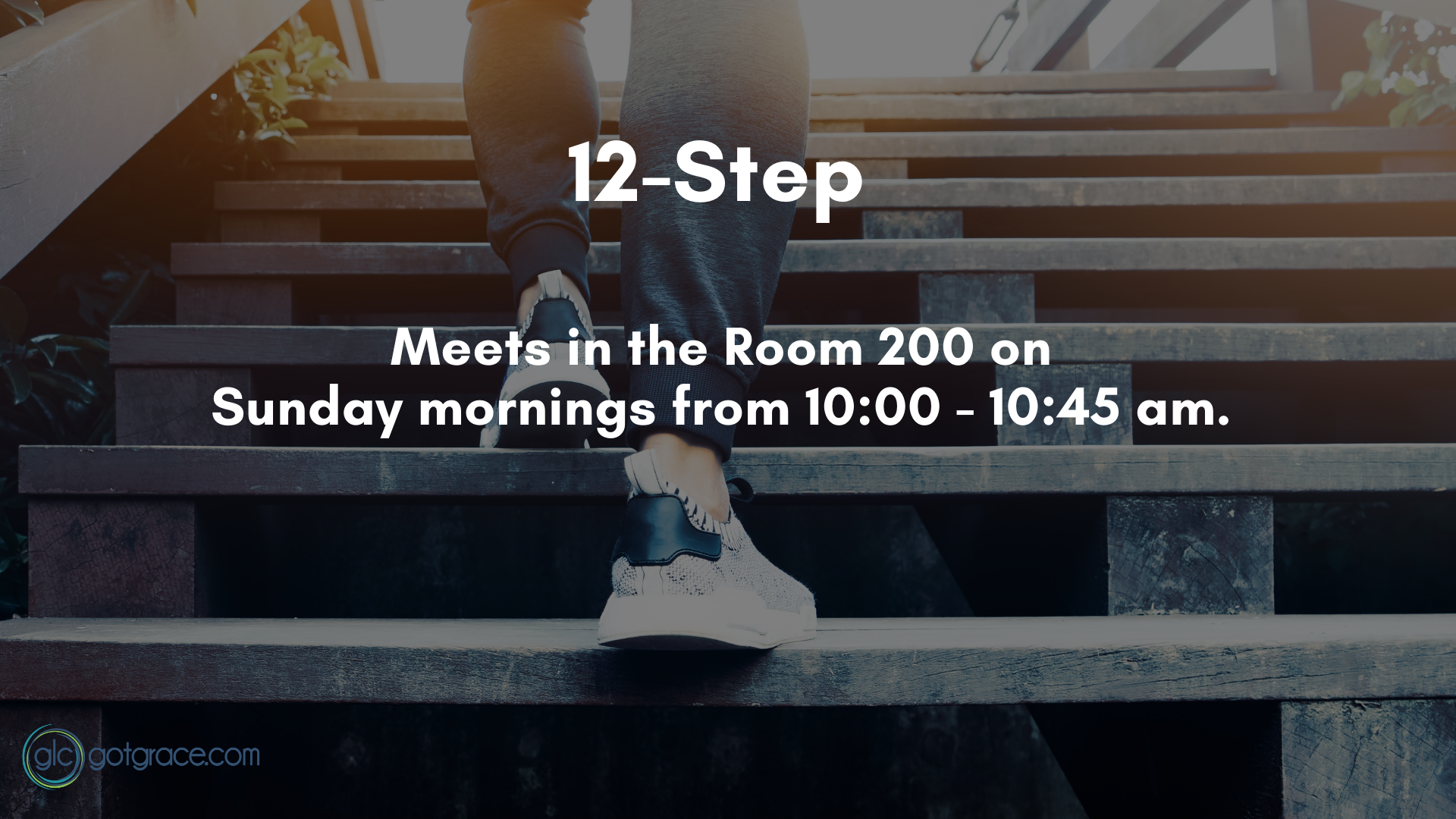12 Step